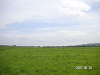 s_PICT0564_thumb.png